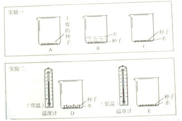 安博体育电竞